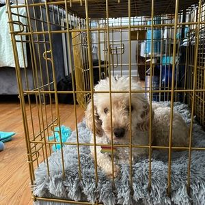 Meet your Posher, Posh